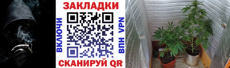 Наркота Кирово-Чепецк Марихуана МЕФ КОКАИН APVP АМФЕТАМИН ГАШИШ