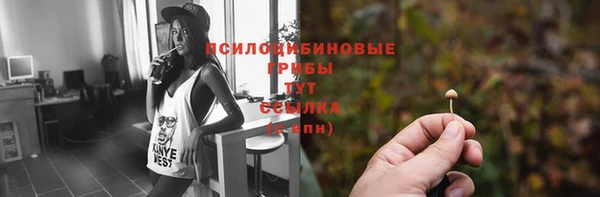 скорость Аркадак
