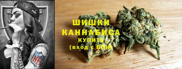 соль ск Данков