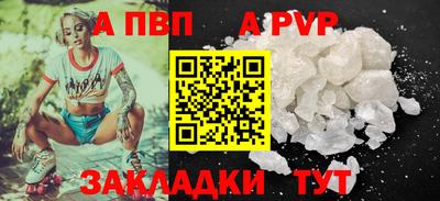 шишки Тавда