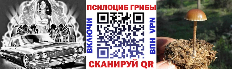 Псилоцибиновые грибы Magic Shrooms  Кирово-Чепецк 